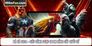 Đá Gà GA28 - Đấu Trường Trực Tiếp Kê Chiến Đỉnh Cao Tại 188M