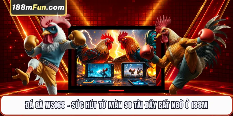 Đá Gà WS168 - Đấu Trường Kê Chiến Đỉnh Cao Độc Quyền Tại 188M